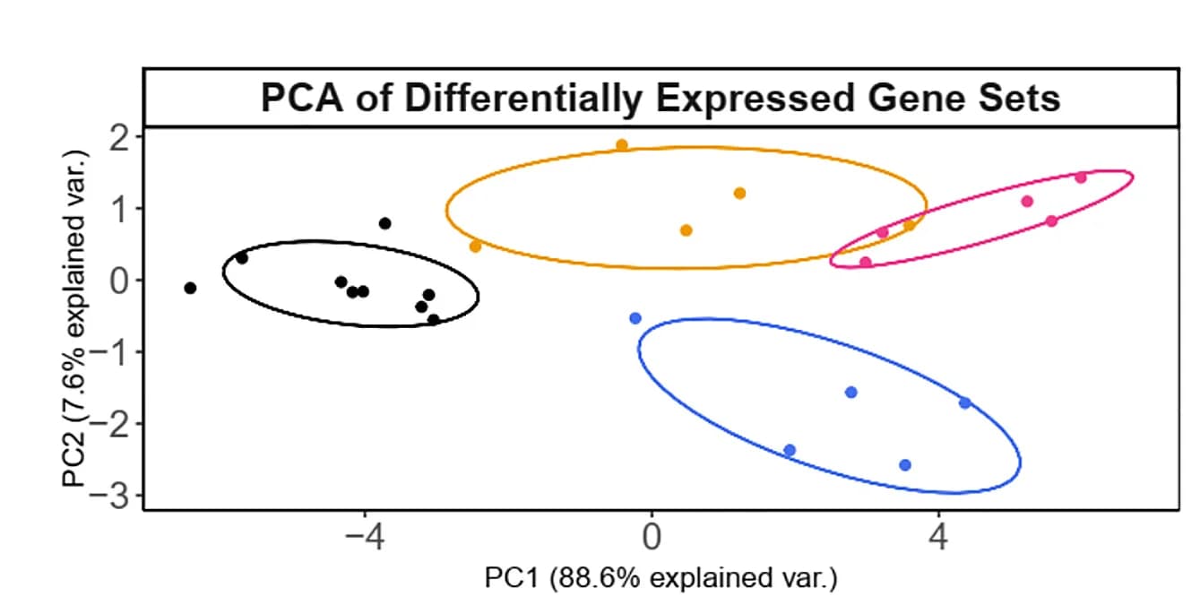 Open access visualization of Scatter Plot, PCA, Control, Monotherapy, Combination treatments