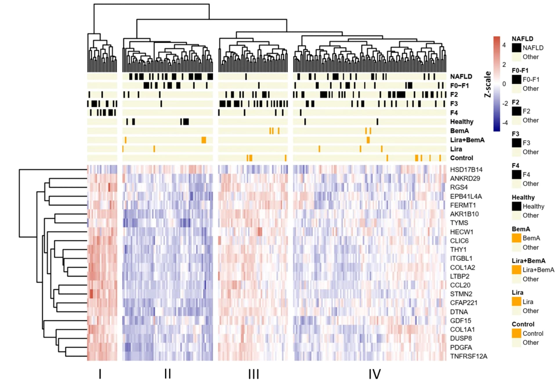 Open access visualization of Heatmap, Clustered, Hierarchical Clustering, Healthy Patients, NAFLD/NASH Patients
