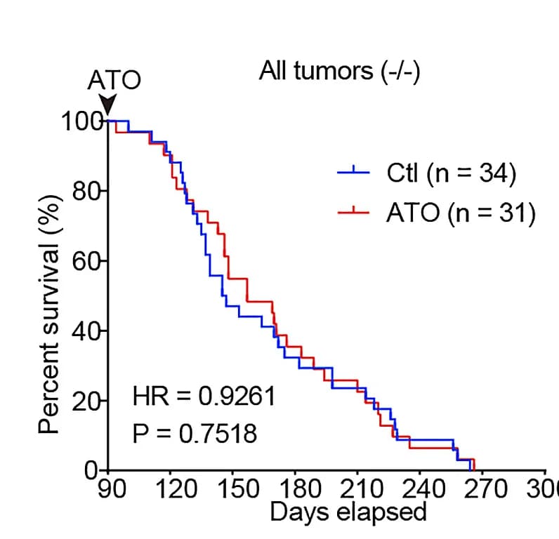 Open access visualization of Line Step, Survival Curve, Kaplan-Meier Survival Curves, p53-null Mice, ATO Treatment
