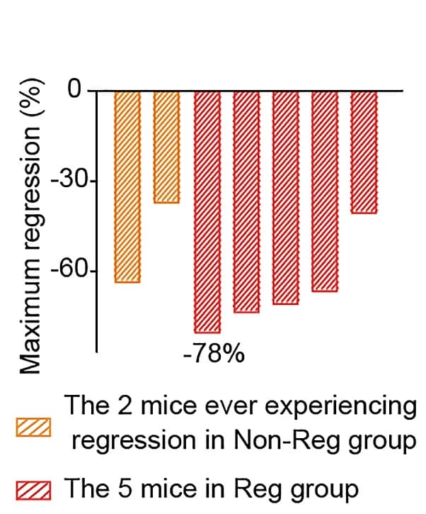 Open access visualization of Bar Plot, Tumor Volume, Regression Rate