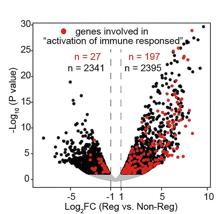 Open access visualization of Volcano Plot, Gene Expression, Tumors, RNA-Seq, Differentially Expressed Genes