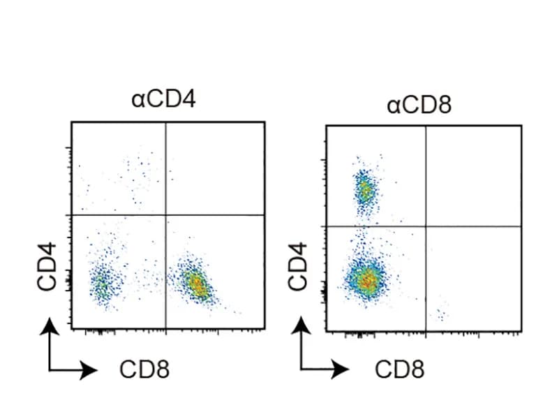 Open access visualization of Scatter Plot, CD4 Staining, CD8 Staining, Single-Cell Suspensions, Mouse Spleen