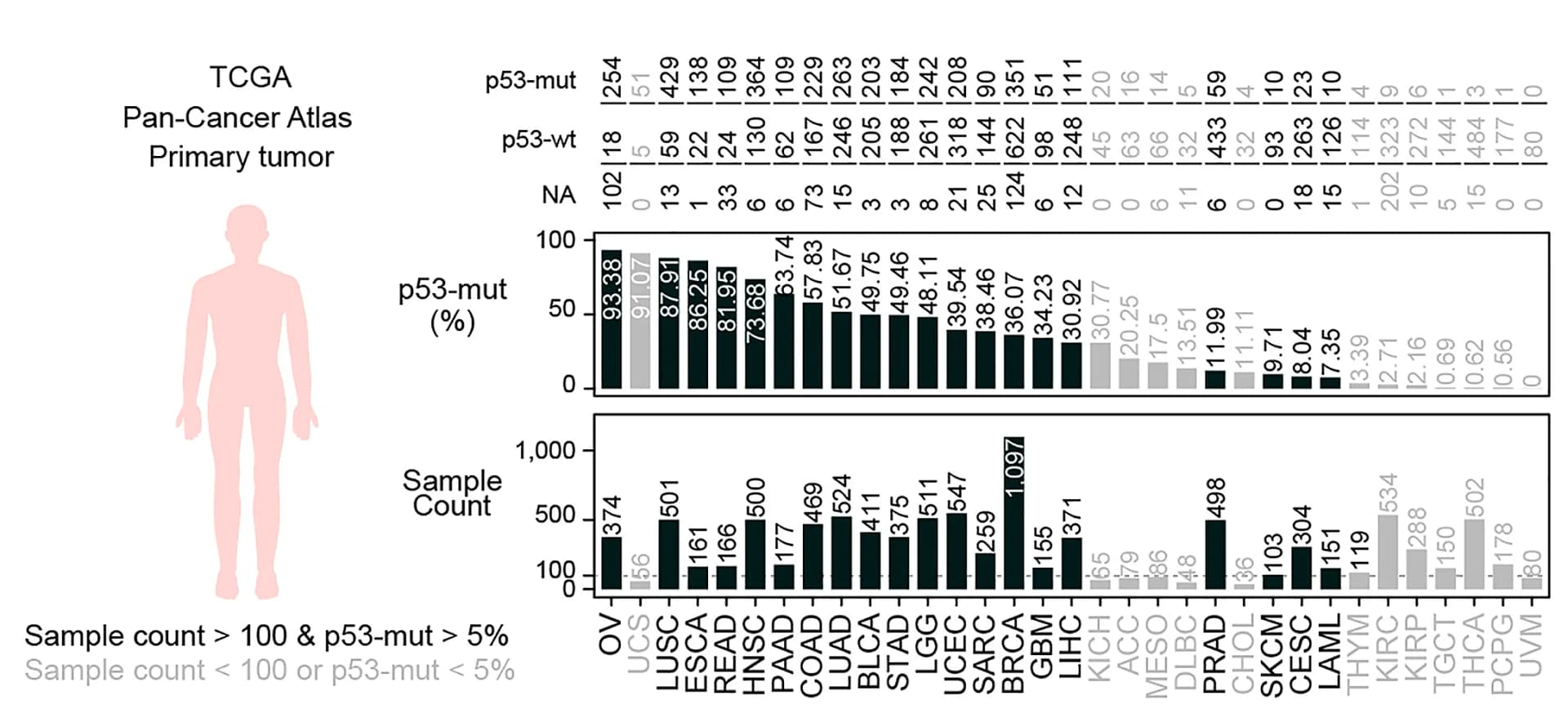 Open access visualization of Bar Plot, Sample Information, p53 Mutation Frequencies, TCGA PanCanAtlas, Primary Tumor Samples