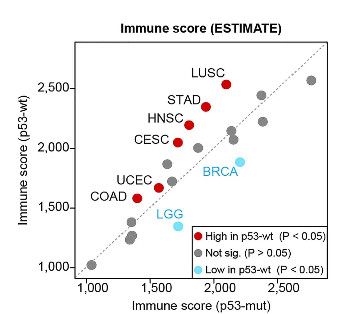 Open access visualization of Scatter Plot, Immune Scores, p53-wild-type, p53 Mutated, TCGA PanCanAtlas