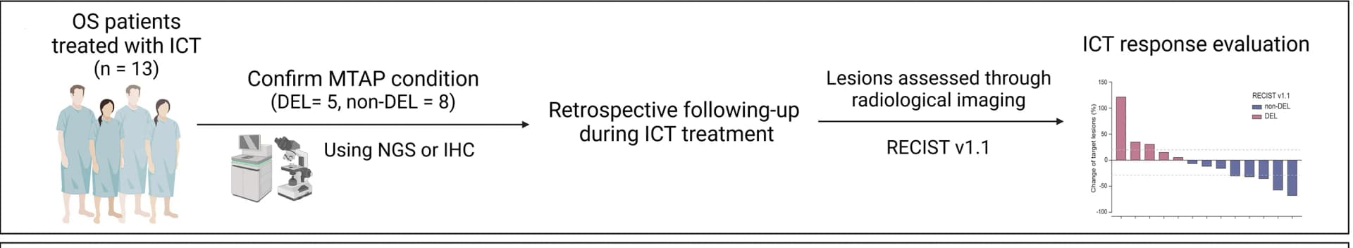 Open access visualization of Workflow, Bar Plot, Immunotherapy, Osteosarcoma, MTAP Status
