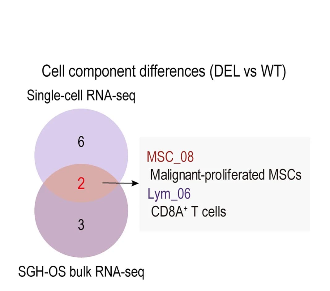 Open access visualization of Venn Diagram, Integrated Analysis, RNA-seq, Single-cell RNA-seq, Wild-Type
