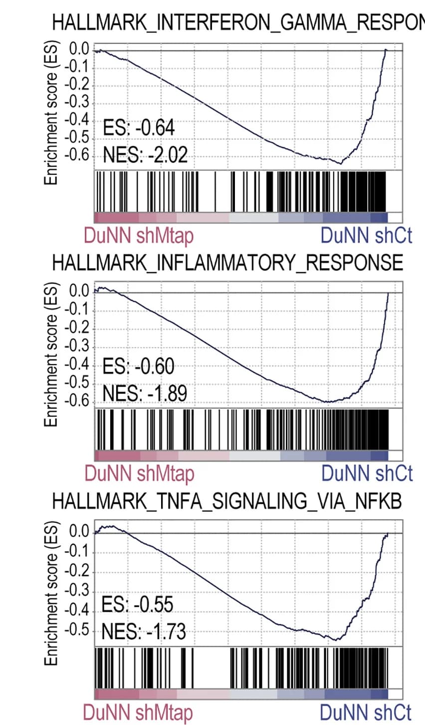Open access visualization of Line Plot, Bar Plot, Transcriptomic Pathway Analysis, Tumor Tissues, GSEA Analysis