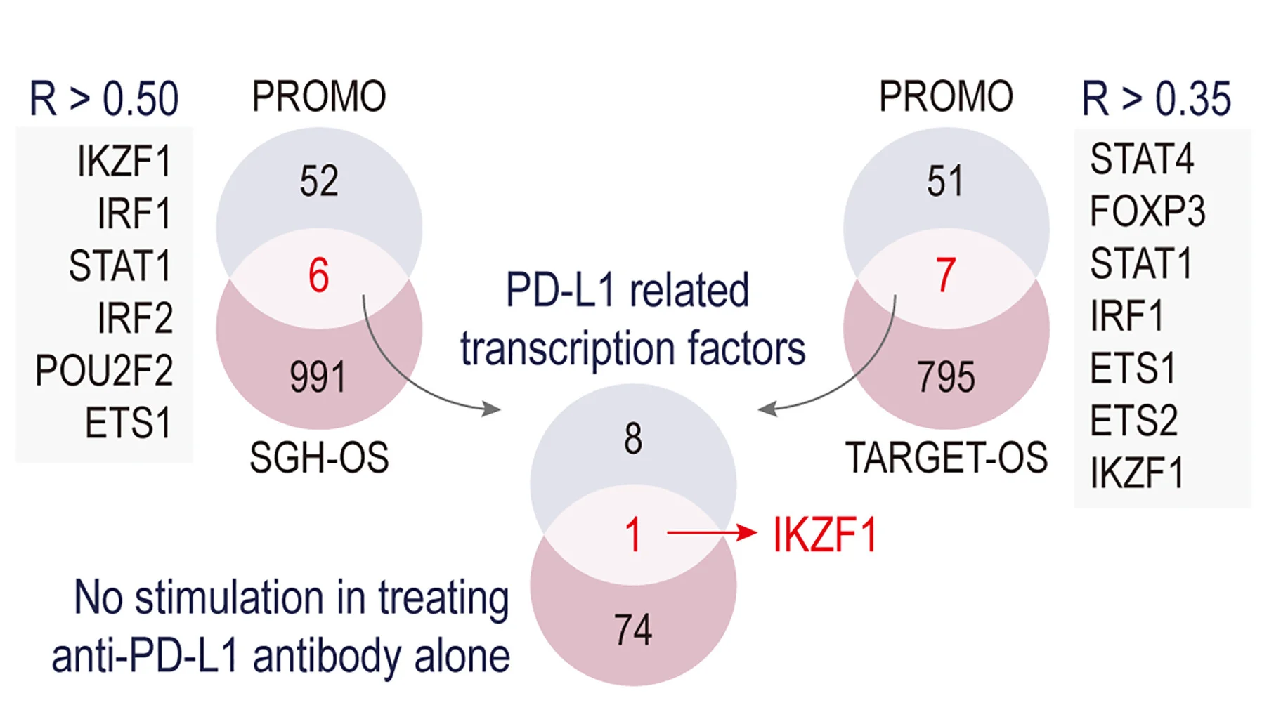 Open access visualization of Venn Diagram, Transcription Factors, PD-L1 Expression, SGH-OS, TARGET-OS