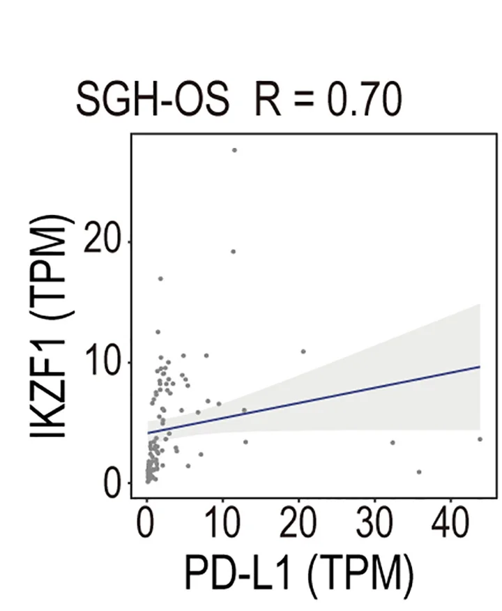 Open access visualization of Scatter Plot, Regression Plot, Transcription Factors, PD-L1 Expression, SGH-OS