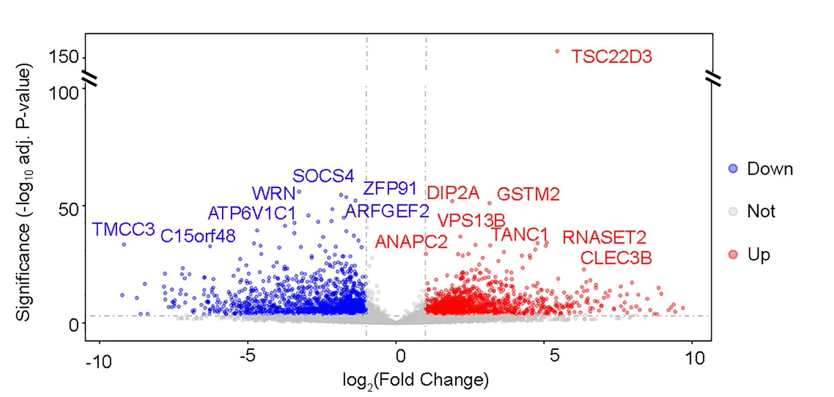 Open access visualization of Volcano Plot, Scatter Plot, Gene Expression, Tumor Samples, Spheres