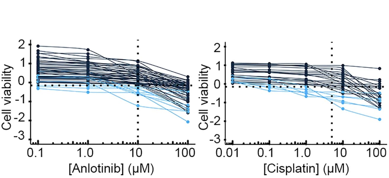 Open access visualization of Line Plot, Chemotherapies, Ec Value, Drug Sensitivity Tests