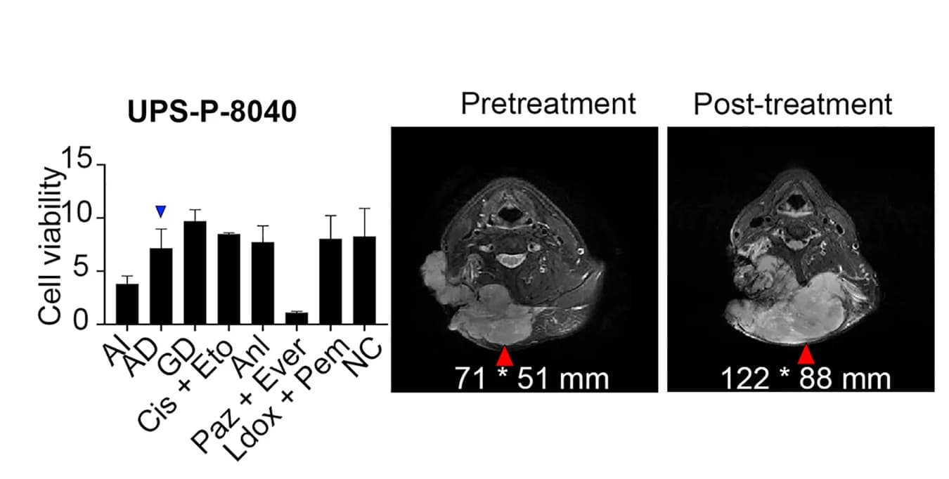 Open access visualization of Bar Plot, Error Bars, Microscopy, PTCs, CT Images