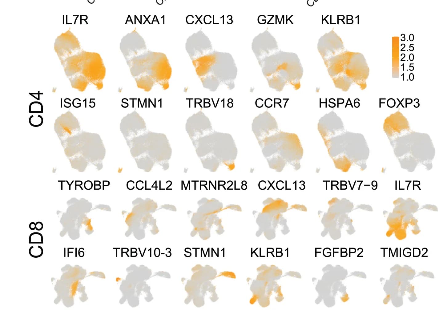 Open access visualization of Scatter Plot, UMAP, Summary Statistics, FDR, Fold Change