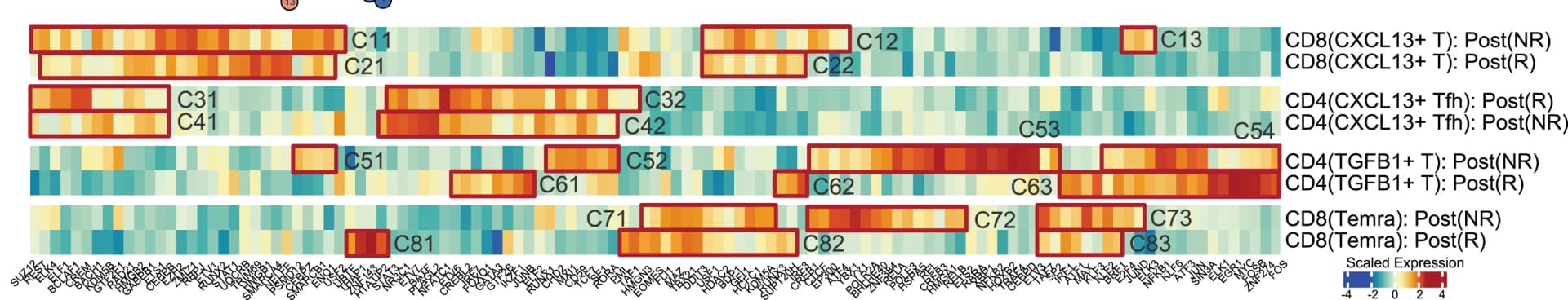 Open access visualization of Heatmap, TF Signatures, IRATs, Response Group