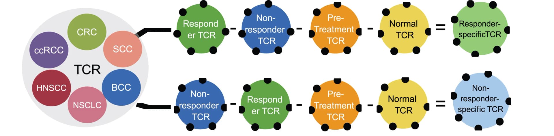 Open access visualization of Network, Workflow, TCR