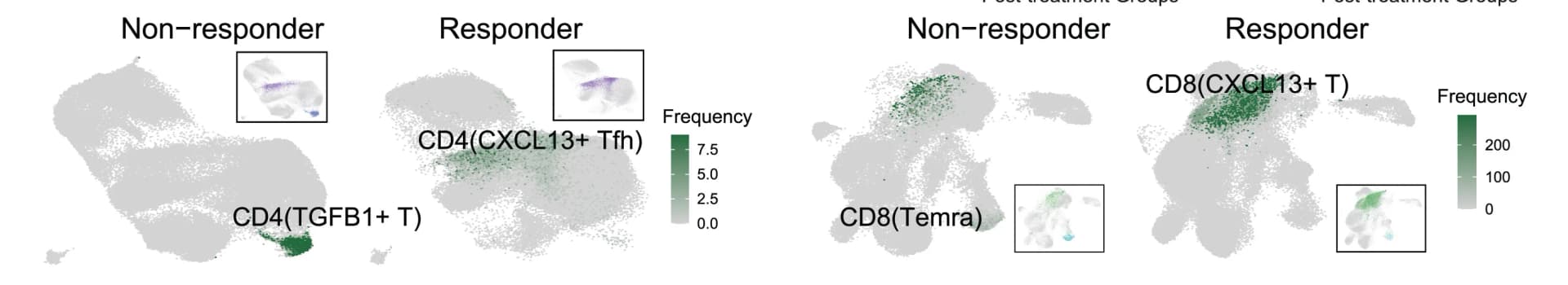 Open access visualization of UMAP, Scatter Plot, Clonal Expansion, CD4+ T Cells, CD8+ T Cells