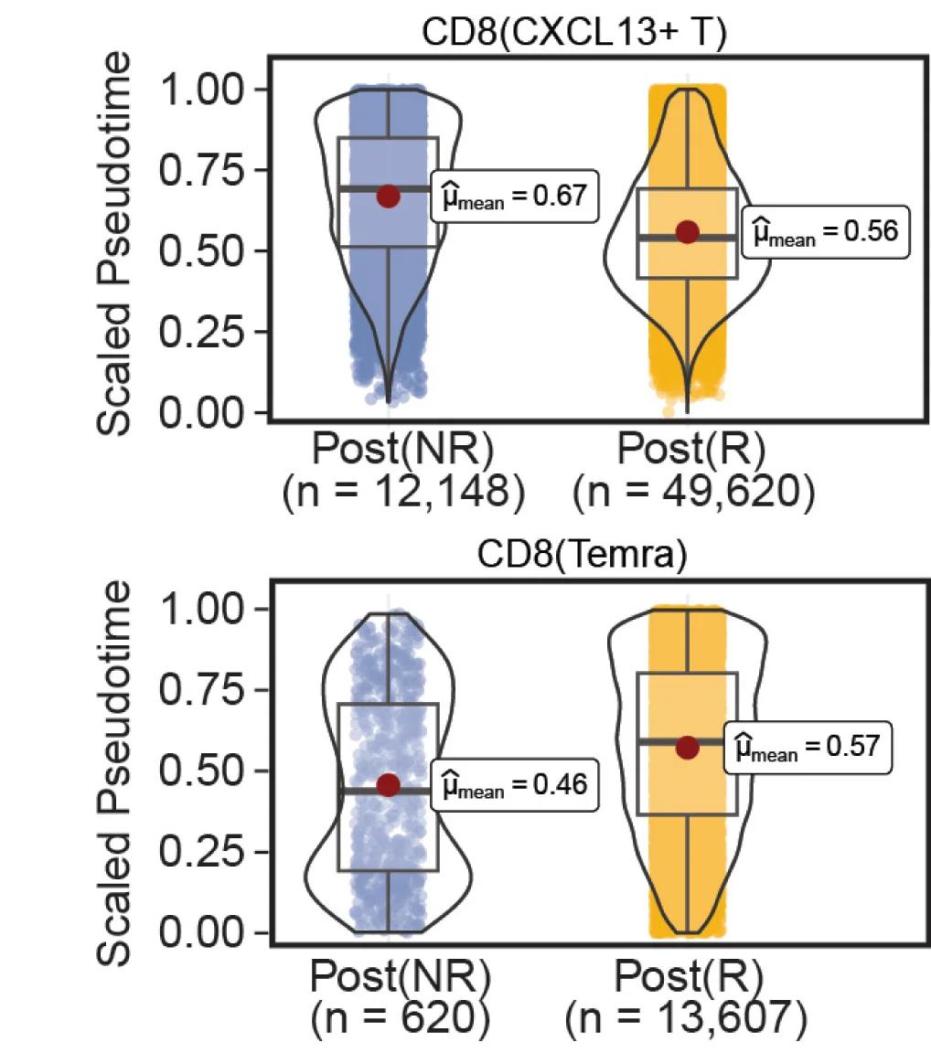 Open access visualization of Violin Plot, Box Plot, Scatter Plot, Cell Abundance, Response Groups