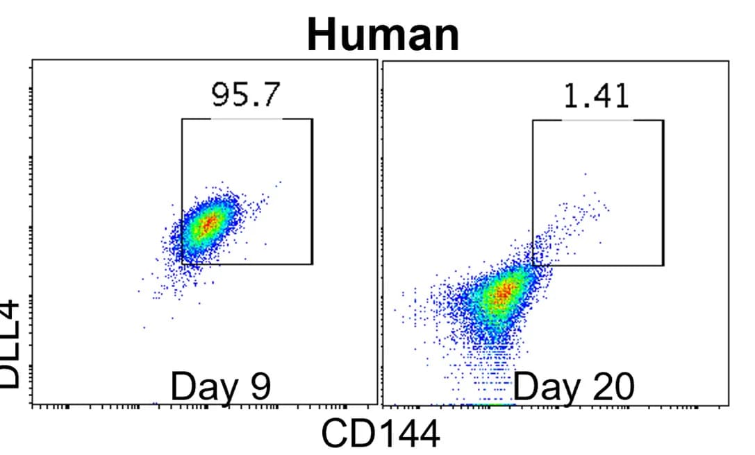 Open access visualization of Scatter Plot, Flow Cytometry, CD144, DLL4, Cell Culture
