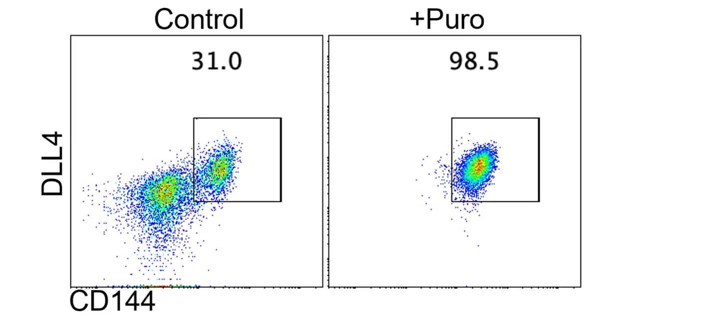 Open access visualization of Scatter Plot, Flow Cytometry, CD144, DLL4, Puromycin