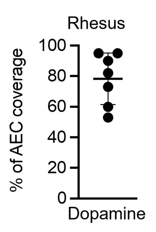 Open access visualization of Scatter Plot, Error Bars, Rhesus AEC, Dopamine, ePTFE