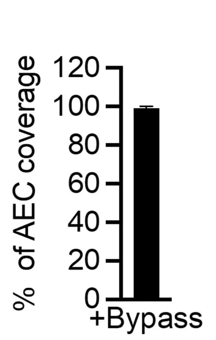 Open access visualization of Bar Plot, Error Bars, Rhesus AEC, Cell Coverage, Biological Replicates