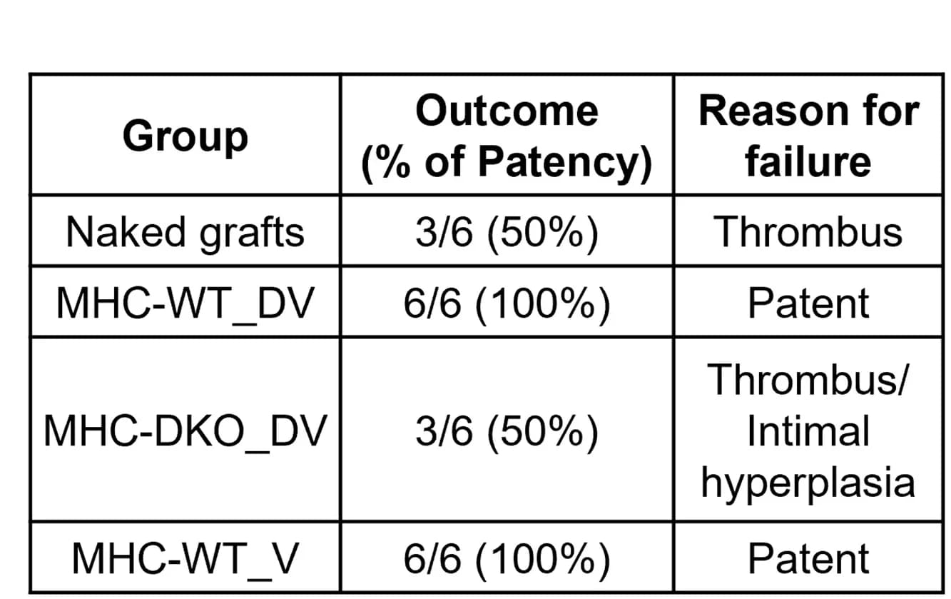 Open access visualization of Table Image, Patency, Graft Failure