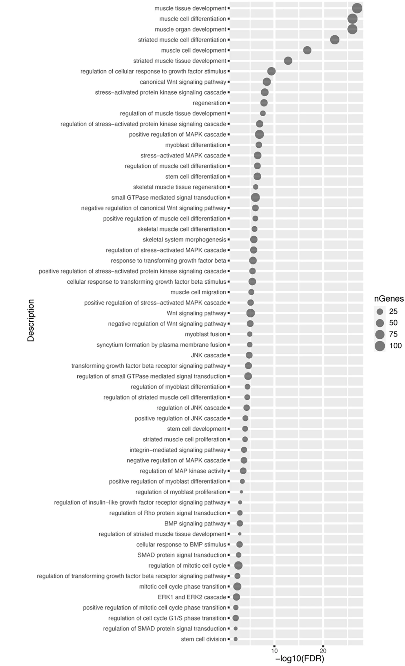 Open access visualization of Scatter Plot, Bubble Plot, Signaling Pathways, gProfiler Analysis, Pathway Size