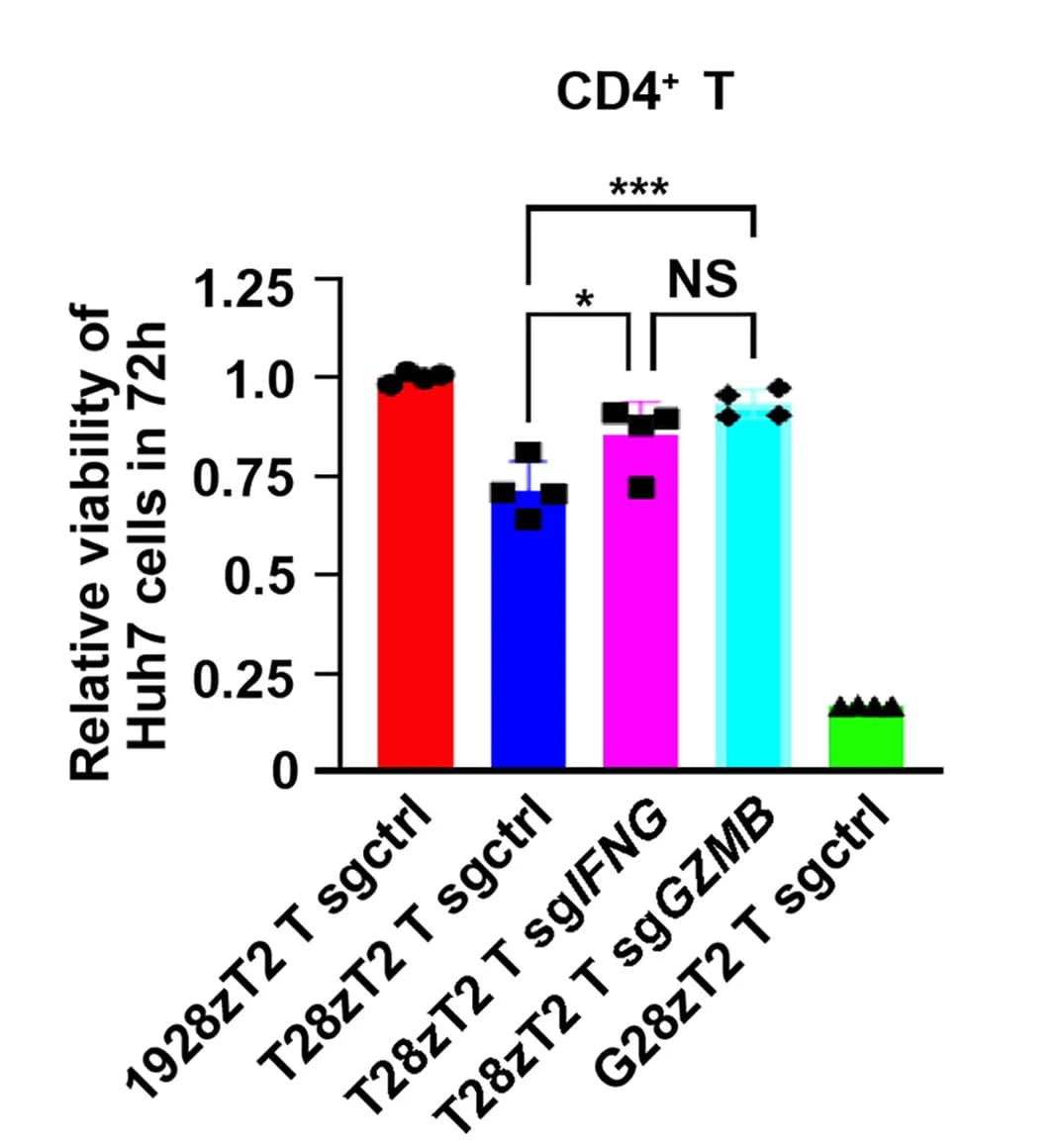 Open access visualization of Bar Plot, Error Bars, Huh7 Cells, Cell Viability