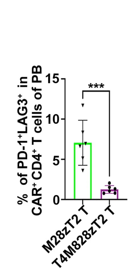 Open access visualization of Bar Plot, Error Bars, PD-1+LAG3+ Expression, CAR+ CD4+ T Cells, CAR+ CD8+ T Cells