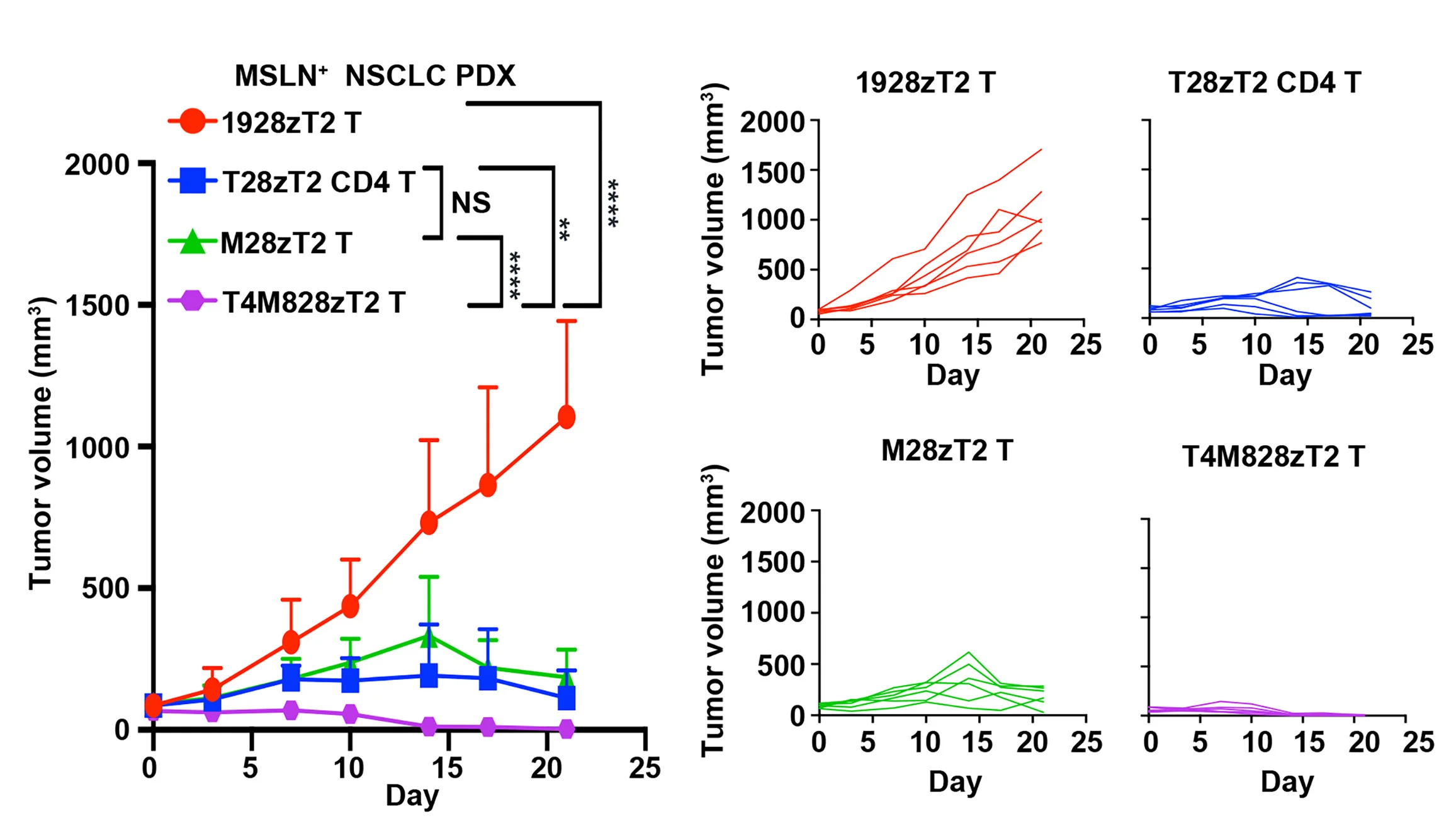 Open access visualization of Line Plot, Error Bars, NSCLC PDX Tumors, NSI Mice, T Cells