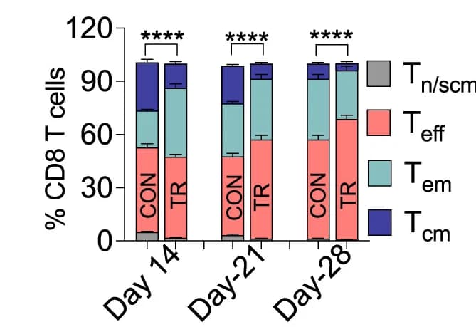 Open access visualization of Stacked Bar Plot, Error Bars, CD8+ T Cells, T Cell Subsets, Flow Cytometry