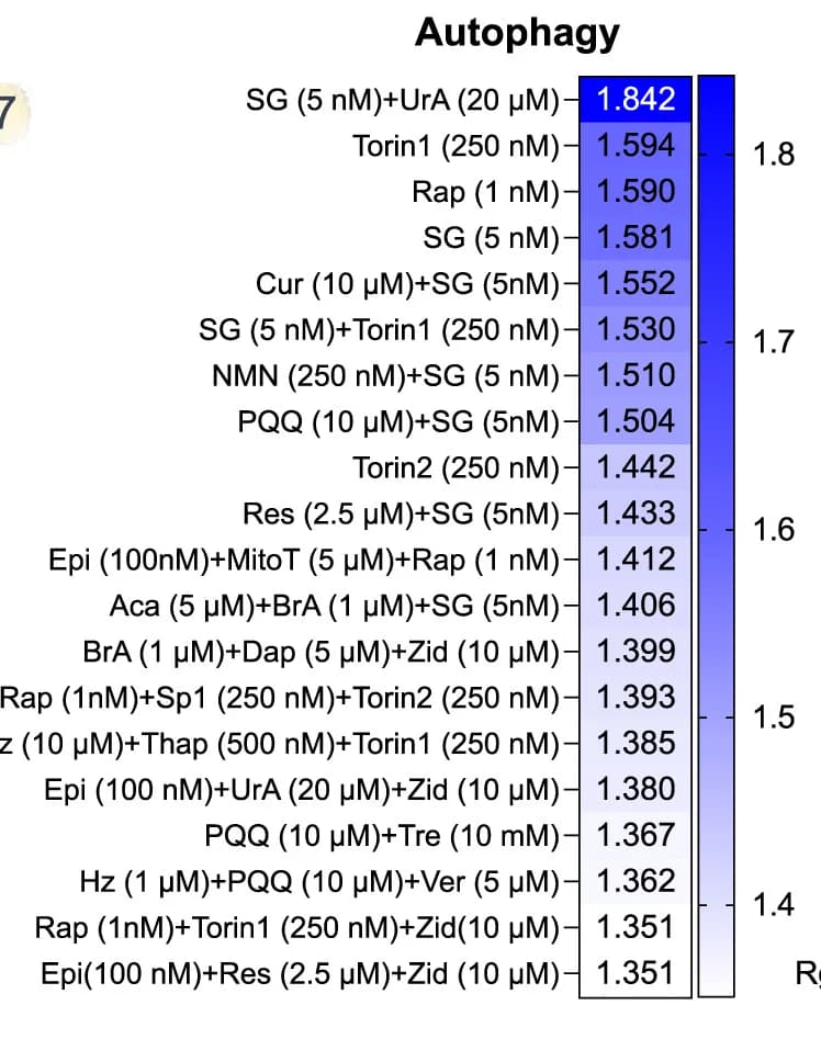 Open access visualization of Heatmap, Heatmaps, Autophagy, GFP-RFP Reporter, Dose Titration