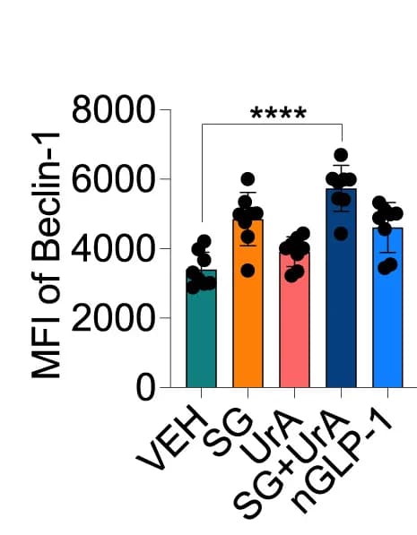 Open access visualization of Bar Plot, Error Bars, MFI, Beclin-1, CAR T Cells