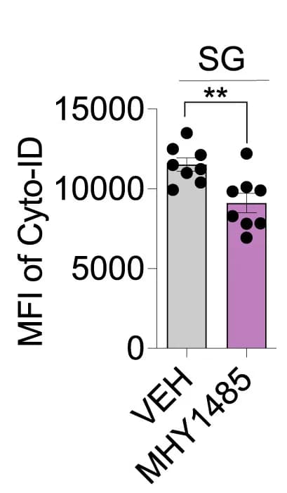 Open access visualization of Bar Plot, Error Bars, MFI, CYTO-ID