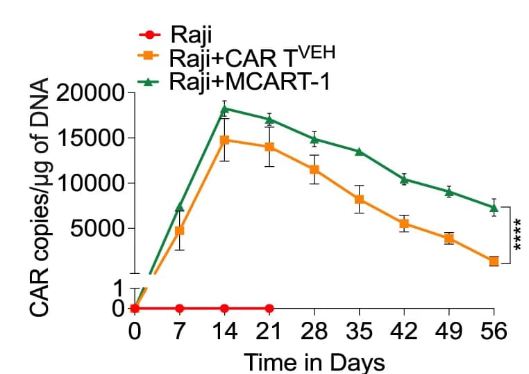 Open access visualization of Line Plot, Error Bars, CAR T Cells, DNA Copies, Blood Samples