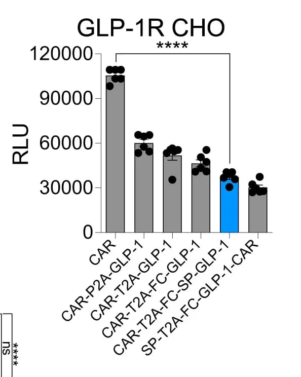 Open access visualization of Bar Plot, Error Bars, Scatter Plot, cAMP Levels, GLP-1R-Expressing CHO Cells