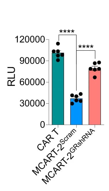Open access visualization of Bar Plot, Error Bars, cAMP Release, CAR T Cells, scGLP-1/CAR T Cells