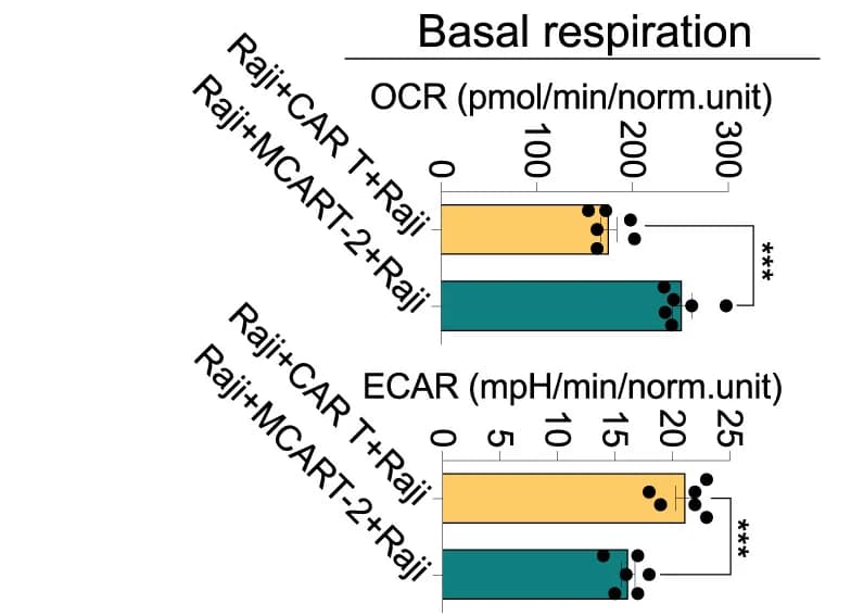 Open access visualization of Bar Plot, Error Bars, Basal Respiration, OCR, ECAR