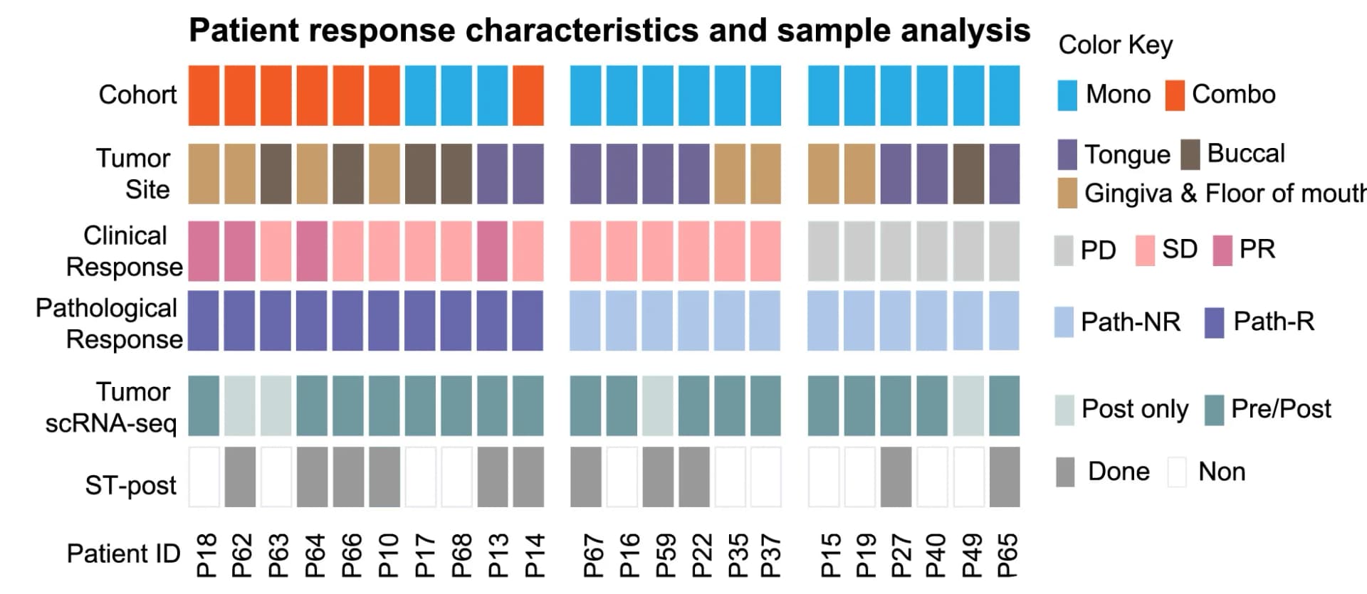 Open access visualization of Heatmap, Clinical Metadata, Patient Analysis, Response Metrics, Sample Collection