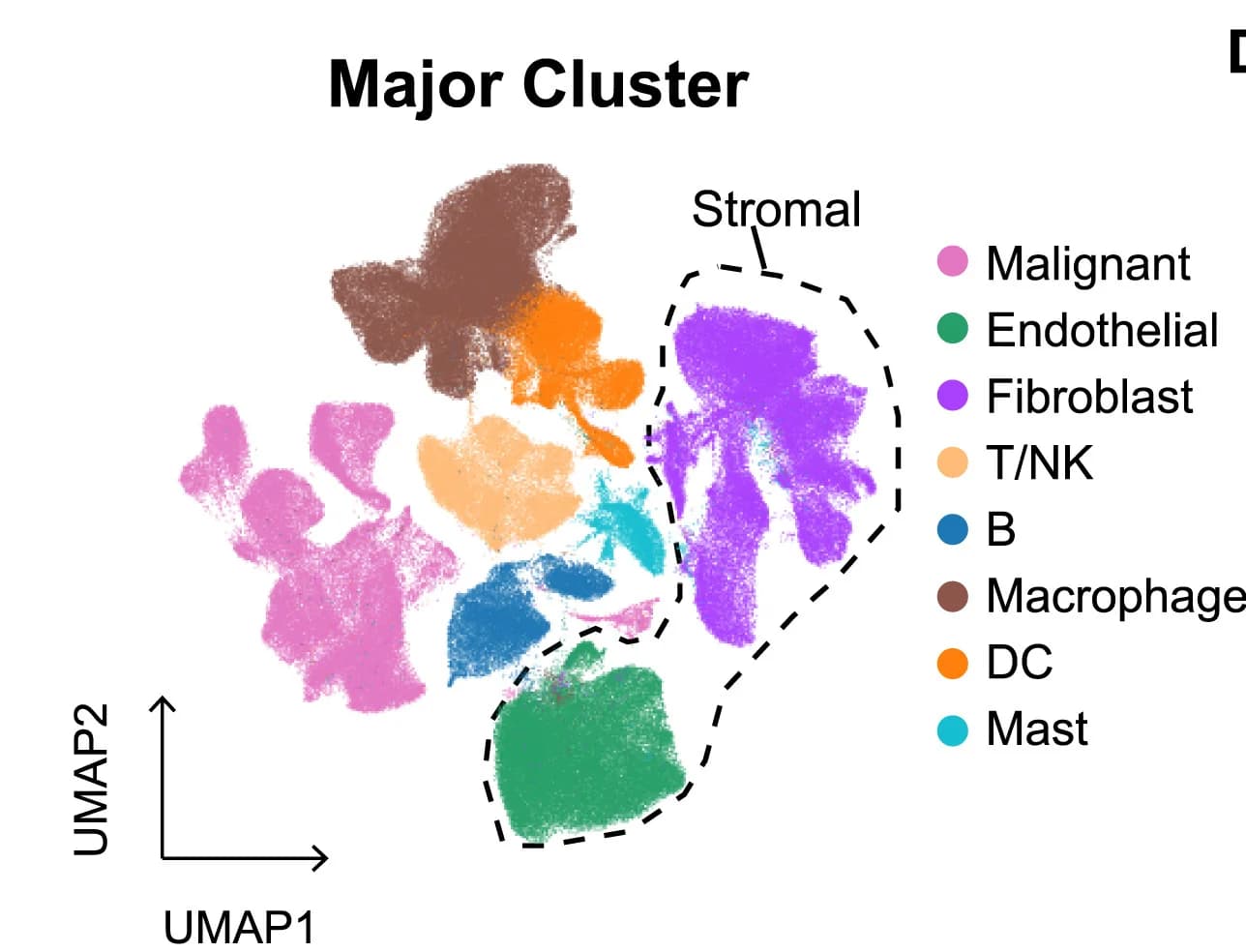 Open access visualization of UMAP, Scatter Plot, UMAP Plot, Malignant Cells, Endothelial Cells
