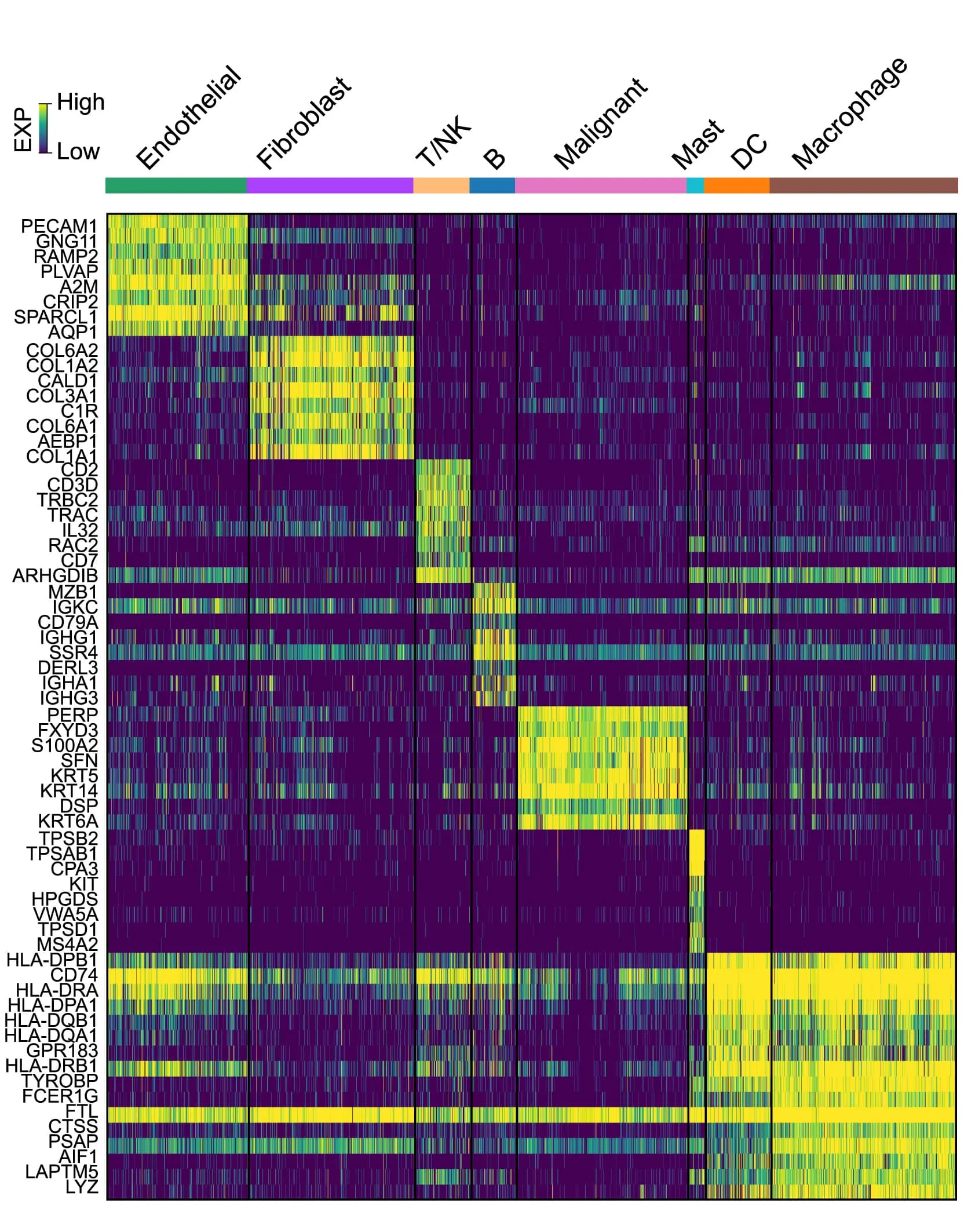 Open access visualization of Heatmap, Differential Gene Expression, Cell Types