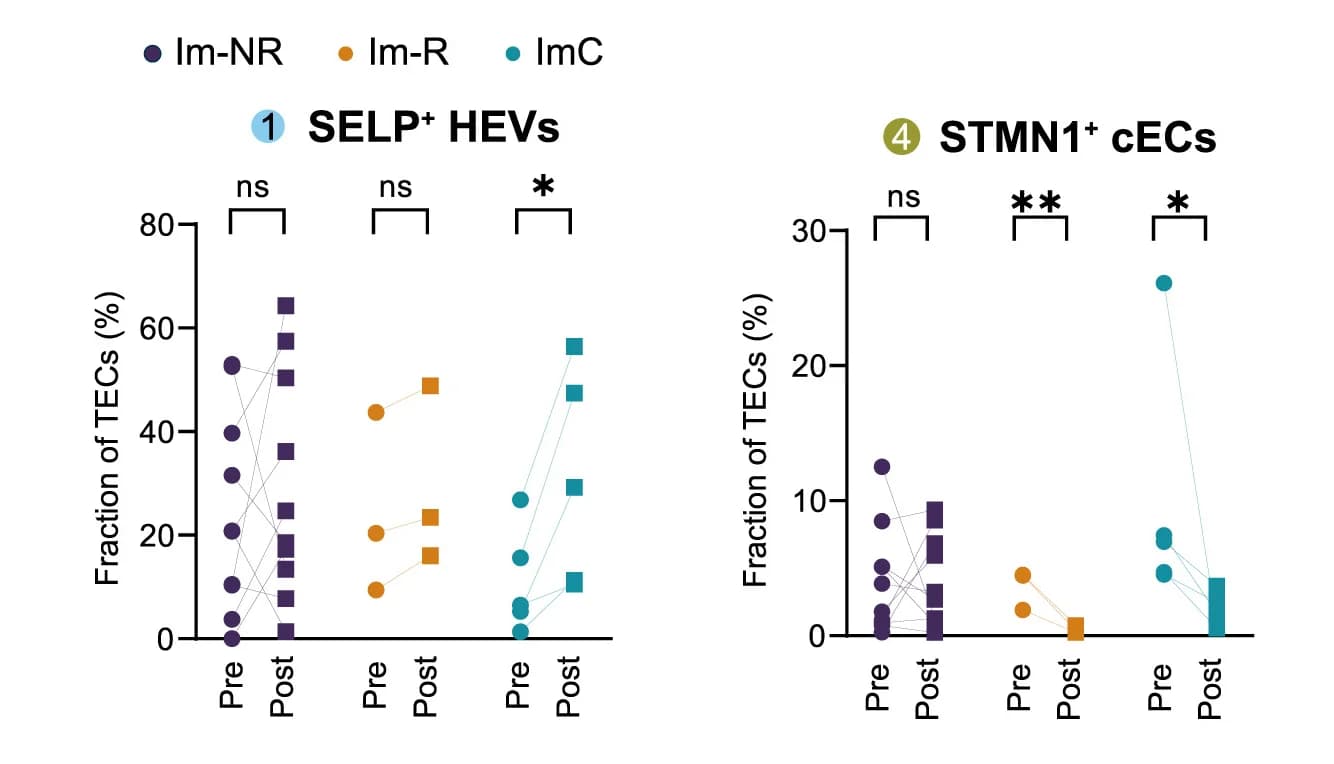 Open access visualization of Line Plot, Scatter Plot, Subtype Percentages, Patient Response Categories, Immunotherapy