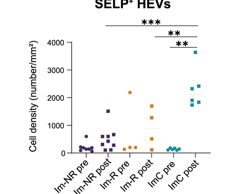 Open access visualization of Scatter Plot, Cell Density, SELP+HEVs, Baseline Samples, Post-Treatment Samples
