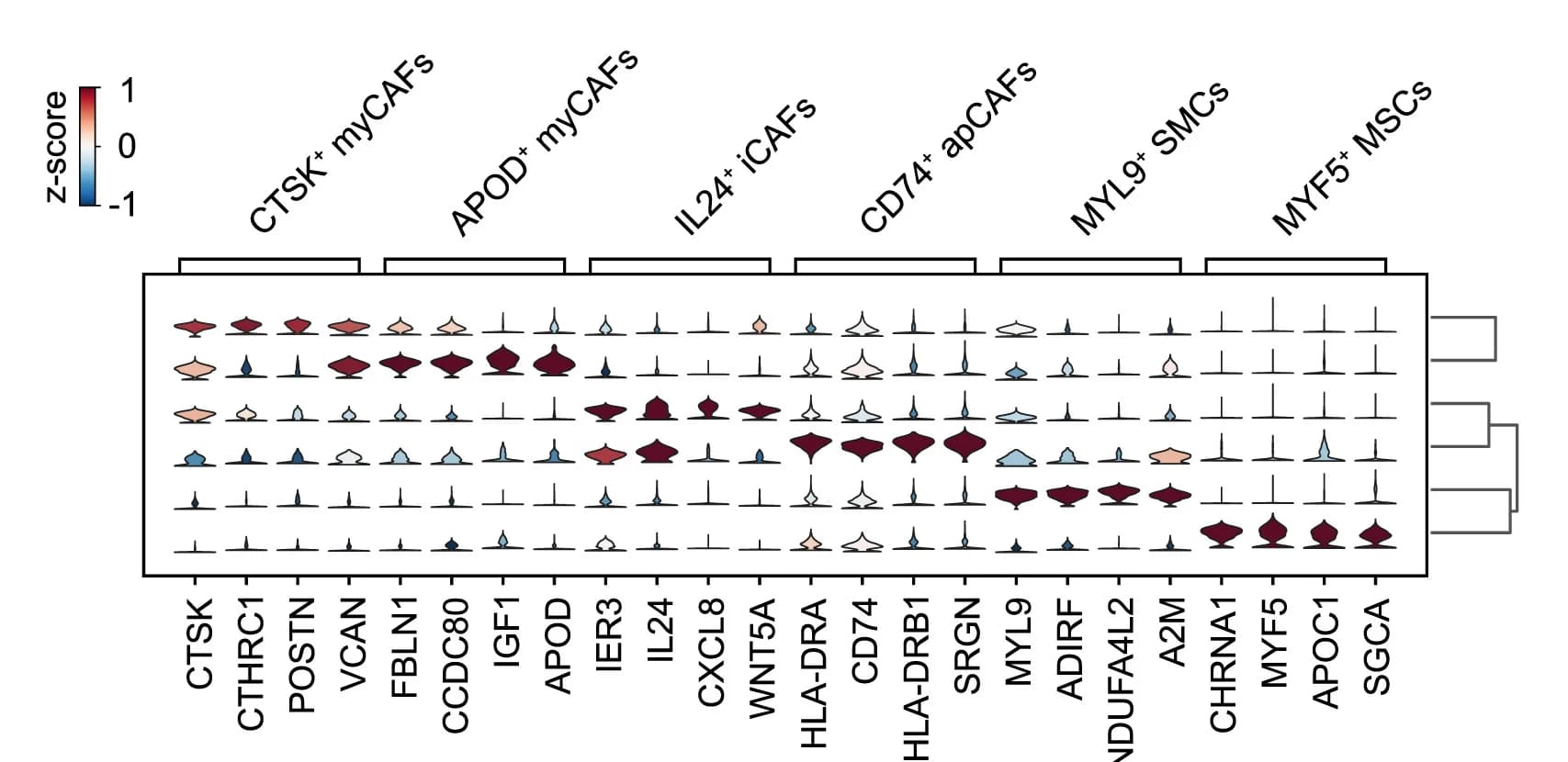 Open access visualization of Heatmap, Clustered, Violin Plot, Violin Plots, Gene Expression Profiles