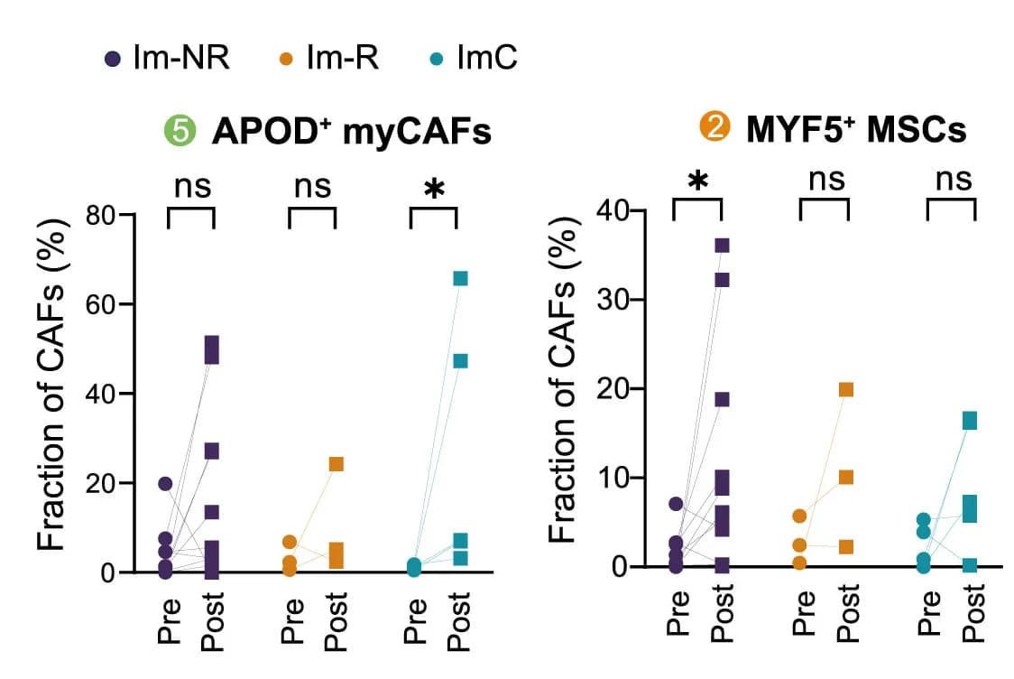 Open access visualization of Line Plot, Scatter Plot, Line Graphs, Immunotherapy, Paired Samples