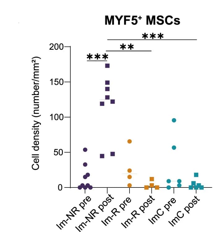 Open access visualization of Scatter Plot, Cell Density, MYF5+MSCs, Immunotherapy