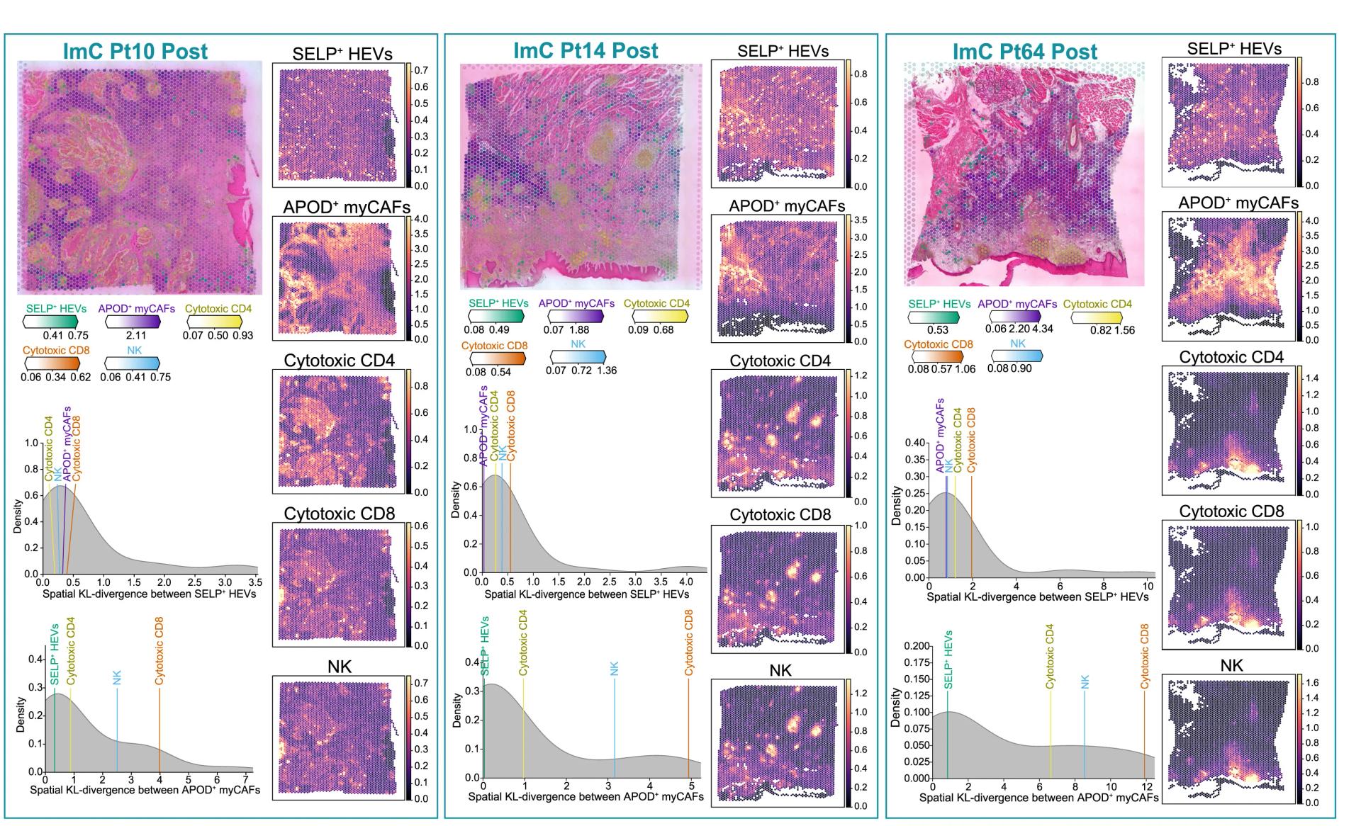 Open access visualization of Density Plot, Heatmap, Photo, Cell Abundance, Cell Types