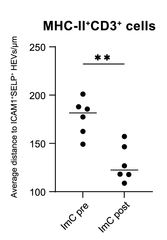 Open access visualization of Scatter Plot, MHC-II+CD3+Cells, ICAM1+SELP+HEVs, Average Distance, Pre-Treatment