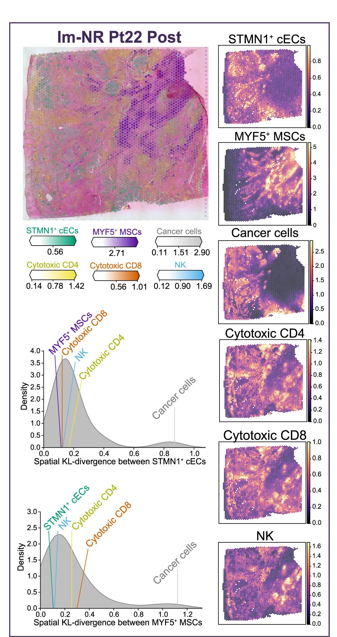 Open access visualization of Line Plot, Density Plot, Heatmap, Photo, Cell Abundance