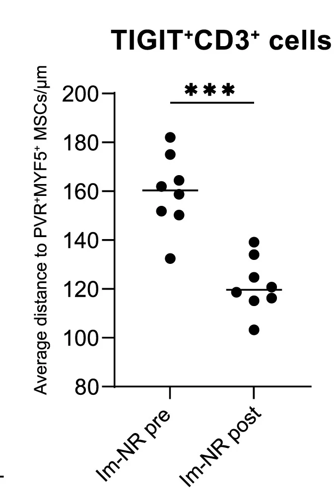 Open access visualization of Scatter Plot, TIGIT+CD3+Cells, PVR+MYF5+MSCs, Immunotherapy Non-Responders, Average Distance